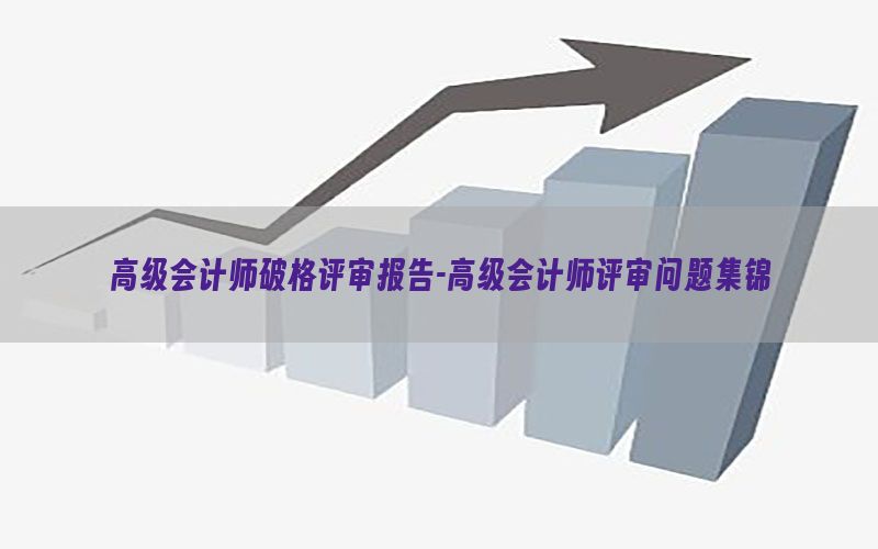 高级会计师破格评审报告-高级会计师评审问题集锦