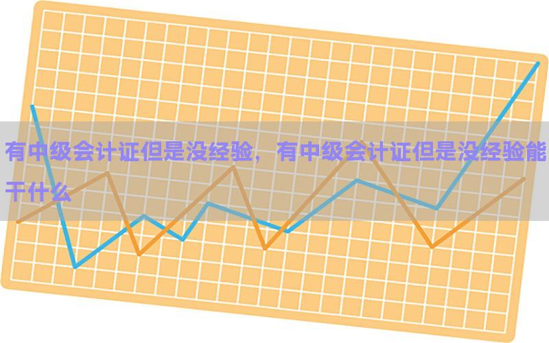 有中级会计证但是没经验，有中级会计证但是没经验能干什么
