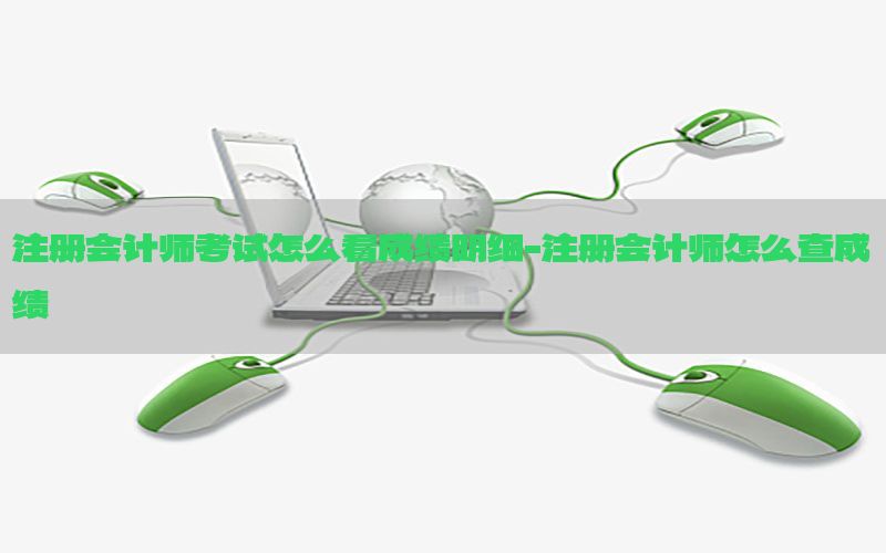 注册会计师考试怎么看成绩明细-注册会计师怎么查成绩