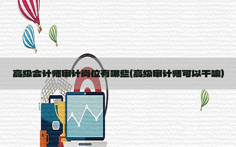高级会计师审计岗位有哪些（高级审计师可以干嘛）