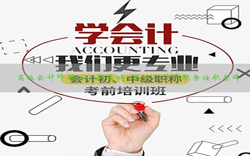 高级会计师聘任占职数吗-高级会计师职务任职条件