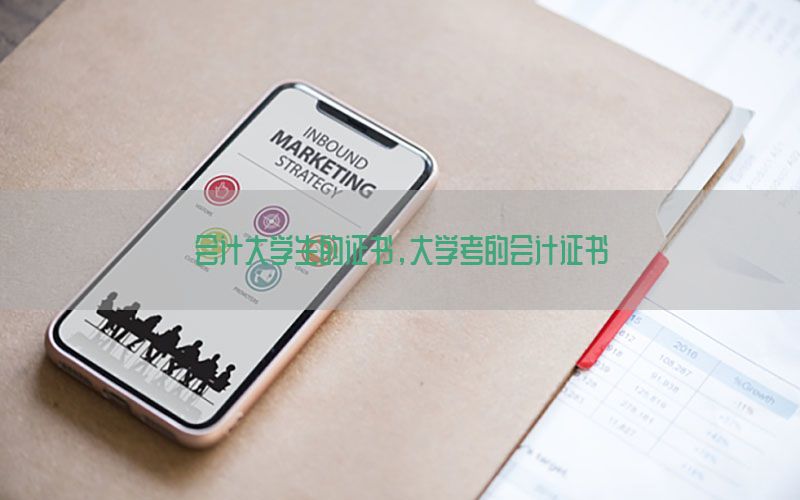 会计大学生的证书，大学考的会计证书