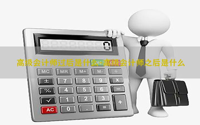 高级会计师过后是什么-高级会计师之后是什么