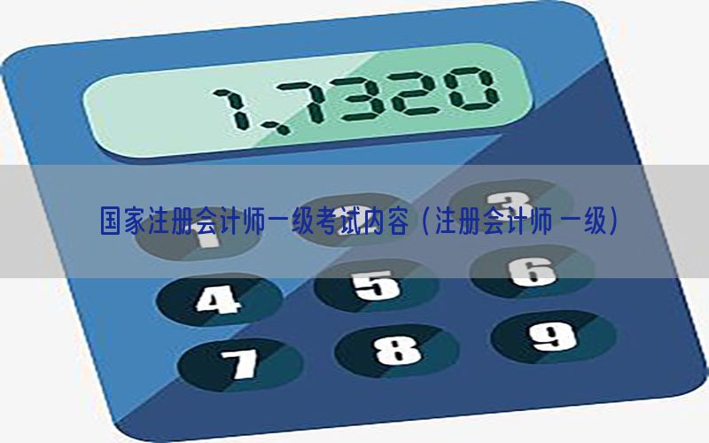 国家注册会计师一级考试内容（注册会计师 一级）