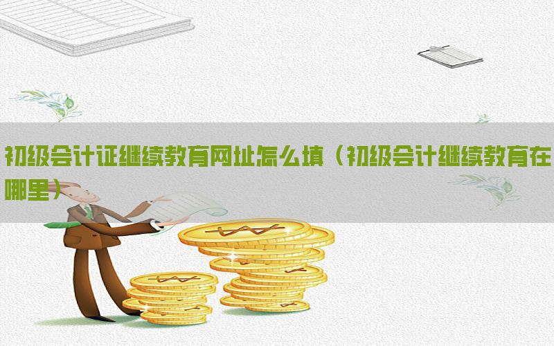 初级会计证继续教育网址怎么填（初级会计继续教育在哪里）