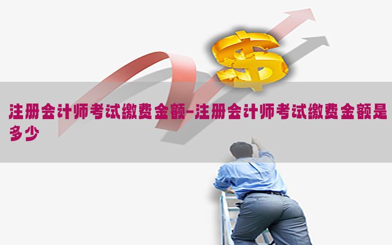 注册会计师考试缴费金额-注册会计师考试缴费金额是多少