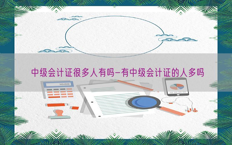 中级会计证很多人有吗-有中级会计证的人多吗