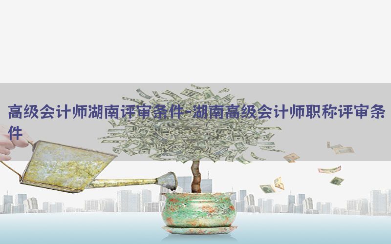 高级会计师湖南评审条件-湖南高级会计师职称评审条件