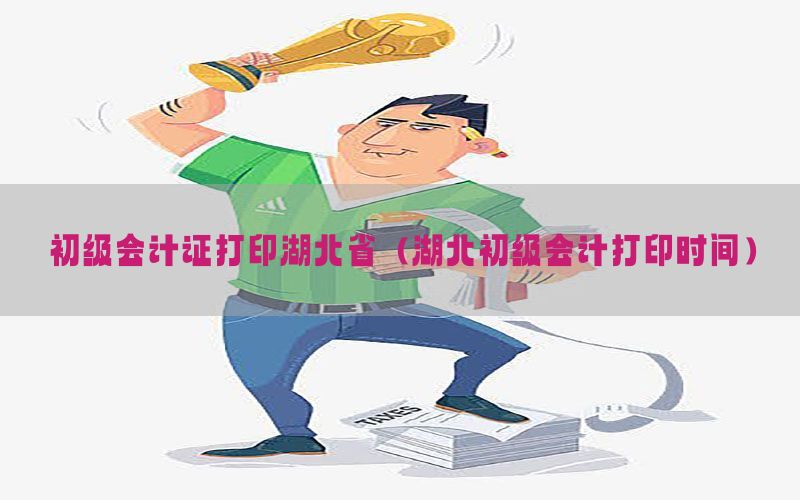 初级会计证打印湖北省（湖北初级会计打印时间）