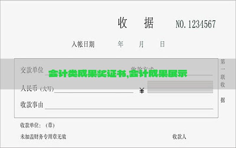 会计类成果奖证书，会计成果展示
