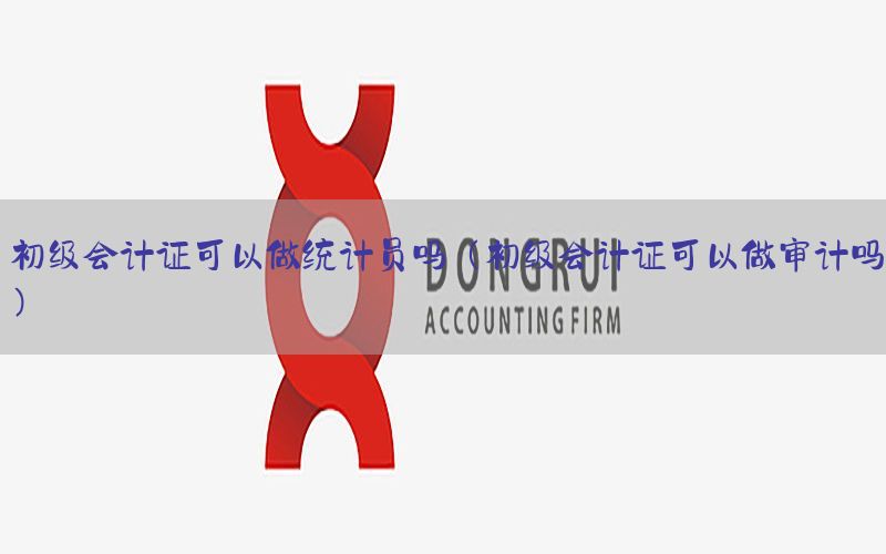 初级会计证可以做统计员吗（初级会计证可以做审计吗）