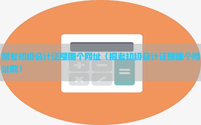 报考初级会计证是哪个网址（报考初级会计证是哪个网址的）