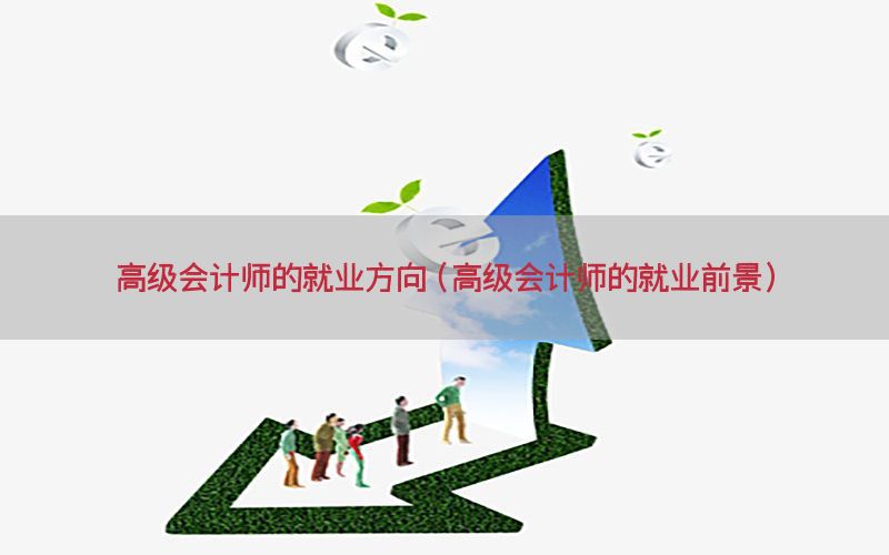 高级会计师的就业方向（高级会计师的就业前景）