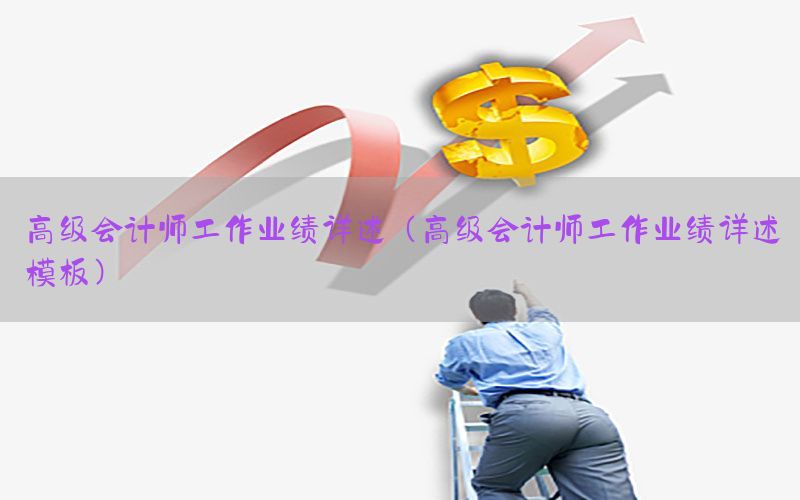 高级会计师工作业绩详述（高级会计师工作业绩详述模板）