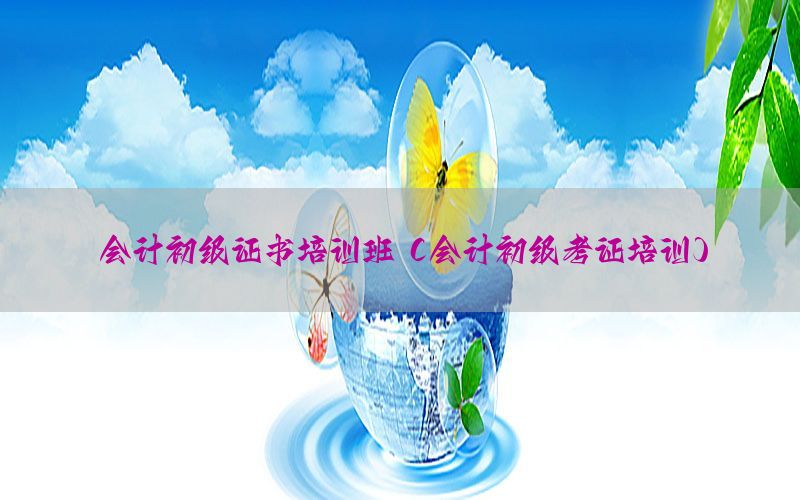 会计初级证书培训班（会计初级考证培训）