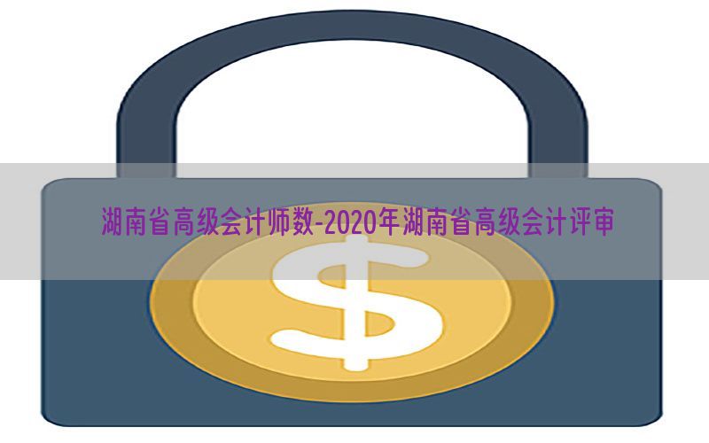 湖南省高级会计师数-2020年湖南省高级会计评审
