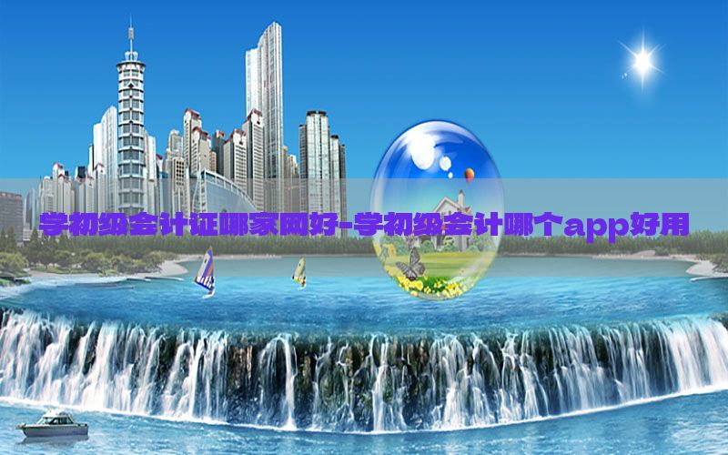 学初级会计证哪家网好-学初级会计哪个app好用