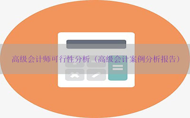 高级会计师可行性分析（高级会计案例分析报告）